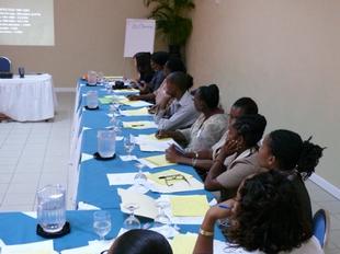 Image #9 - HIV / AIDS Workshop for Health and Family Life Teachers (Participants)